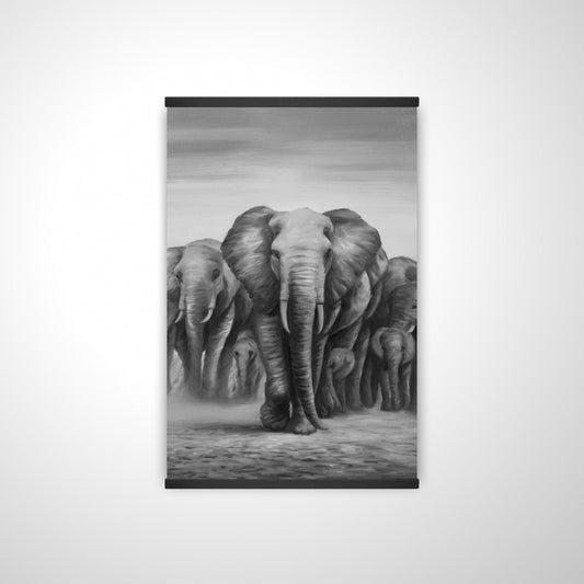 20"x30"