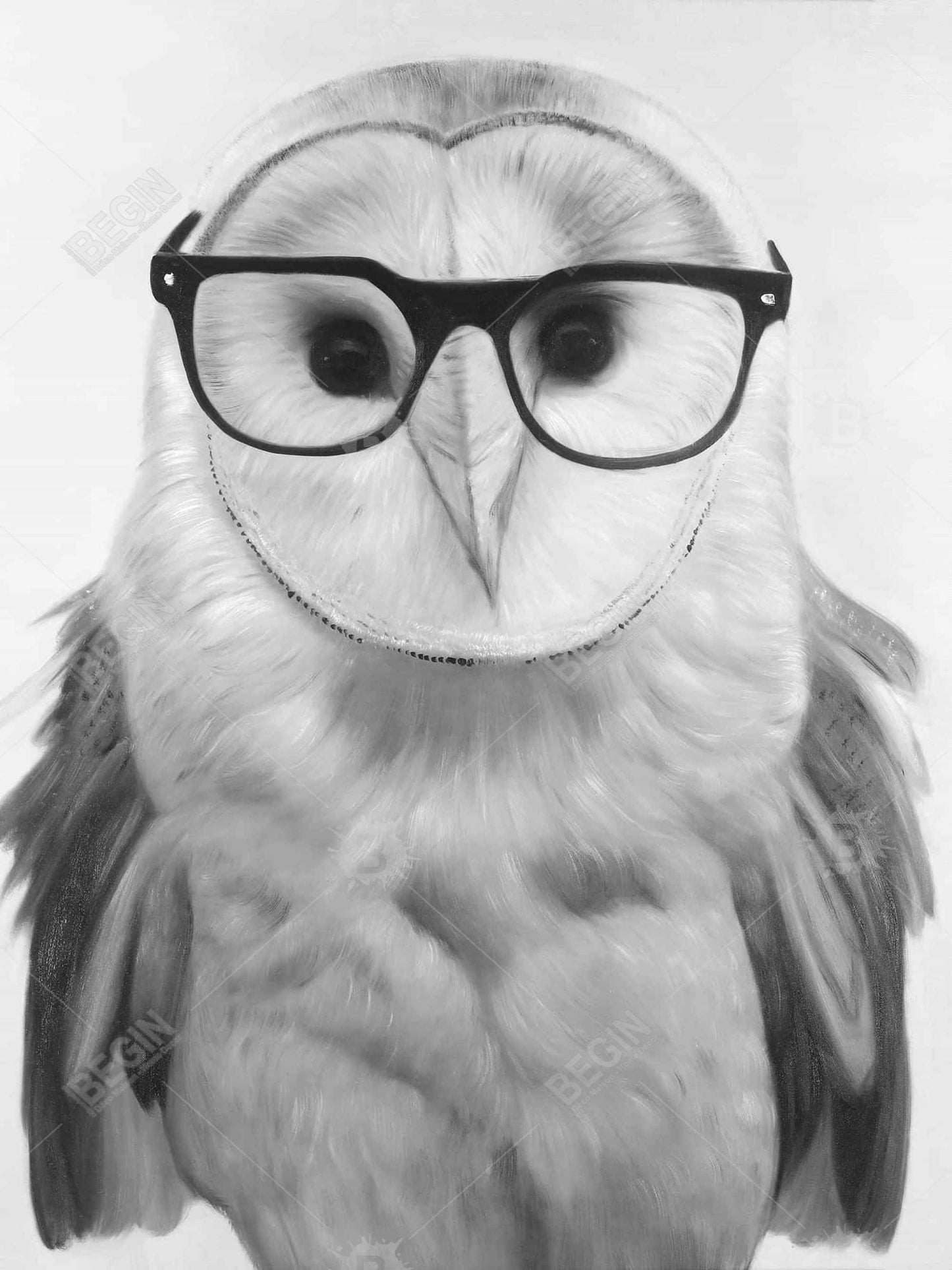 Realistic Barn Owl Bath Mat | Monochrome Bird Home Decor