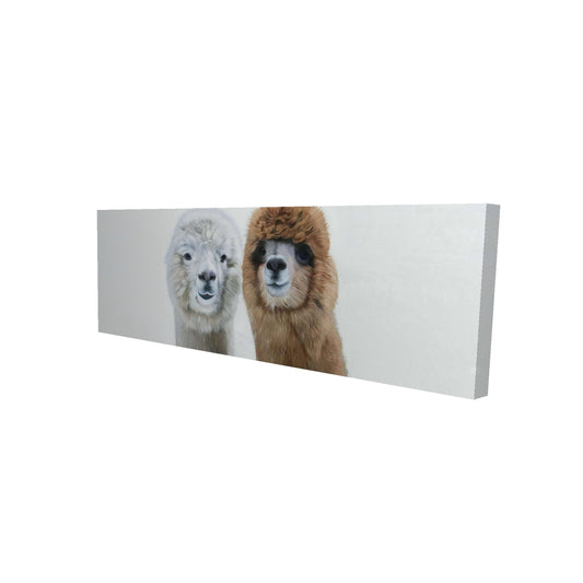 16"x48"