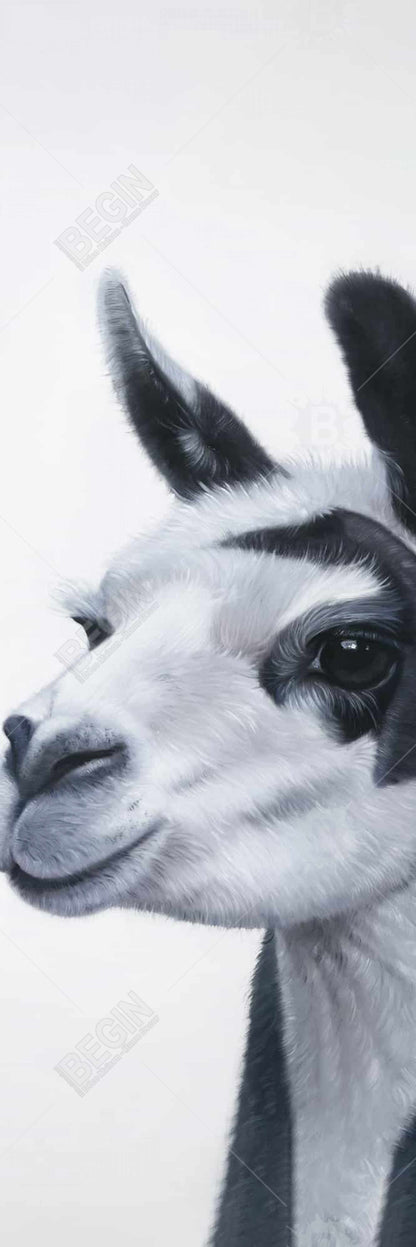 Black & White Lama Canvas | Farm Animal Bedroom Decor