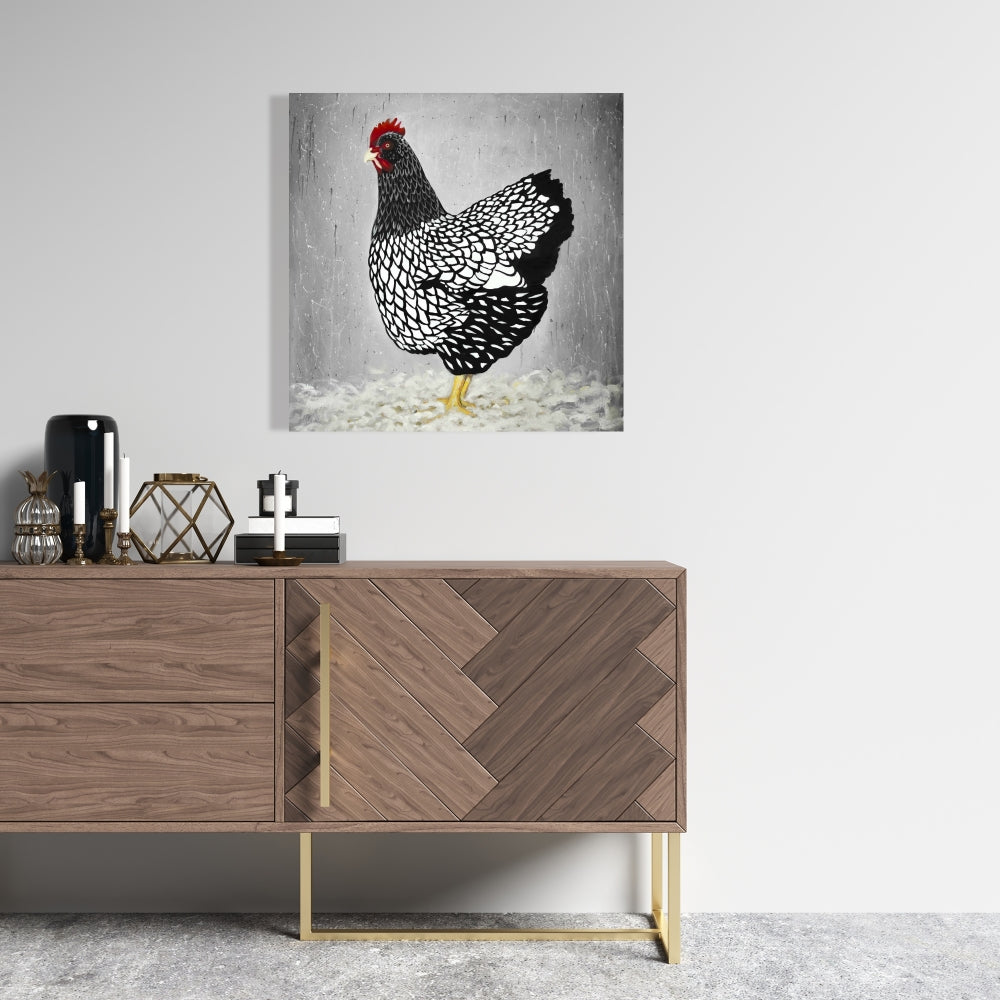 Black and White Wyandotte Hen Canvas - Home Decor Art