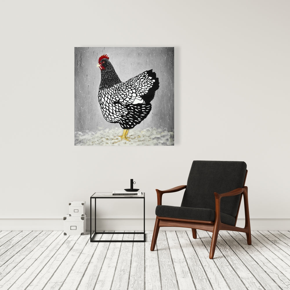 Black and White Wyandotte Hen Canvas - Home Decor Art