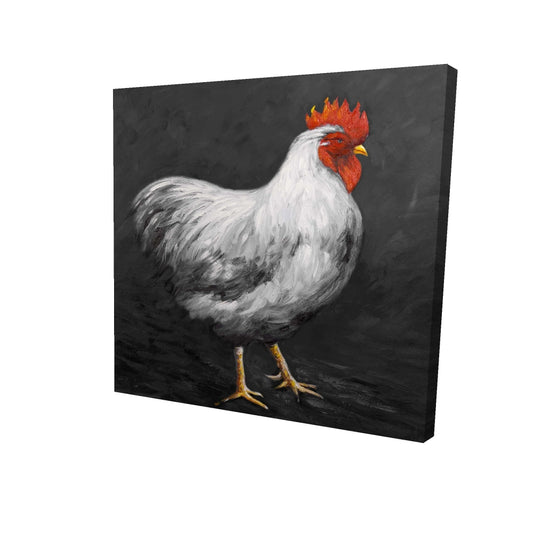 24"x24"