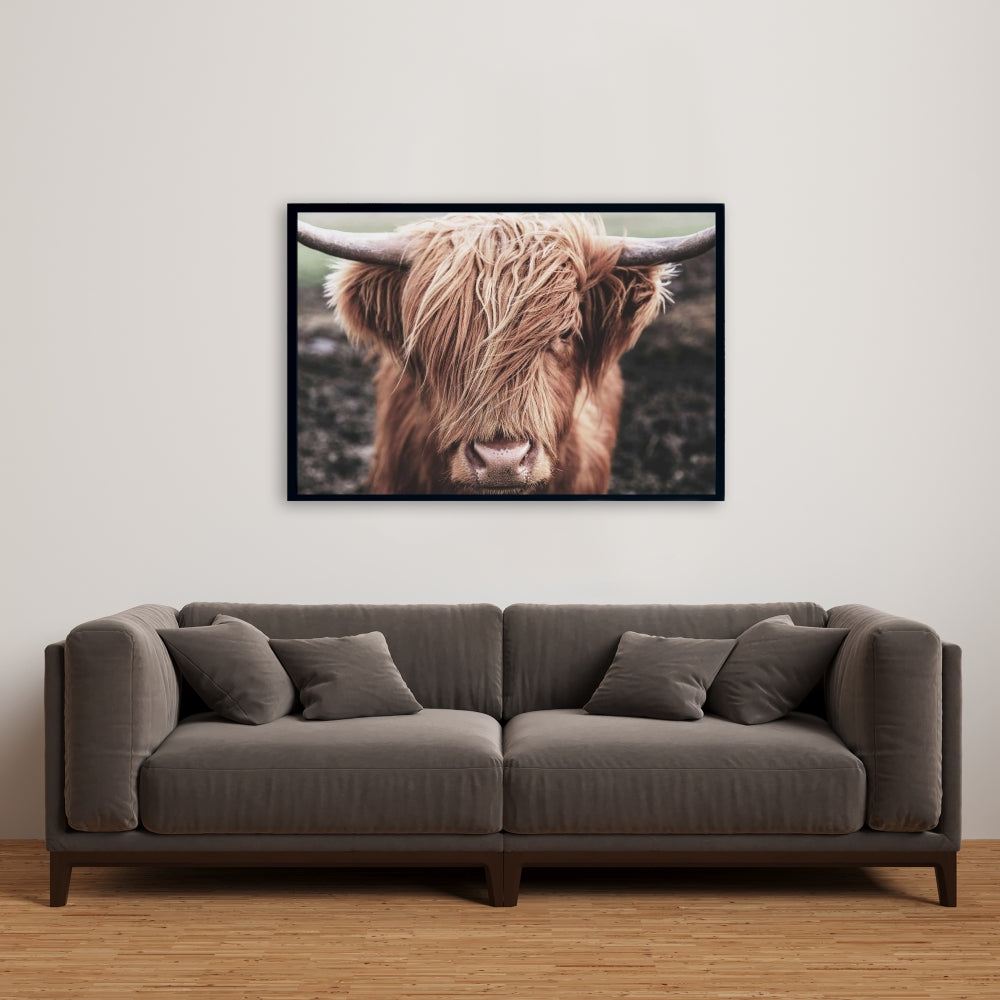 Toile désaturée représentant une ferme de vaches des Highlands | Décoration d'intérieur