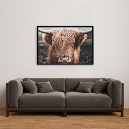 Toile désaturée représentant une ferme de vaches des Highlands | Décoration d'intérieur