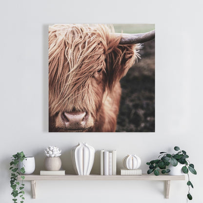 Toile désaturée représentant une vache des Highlands – Décoration d'animaux de ferme marron