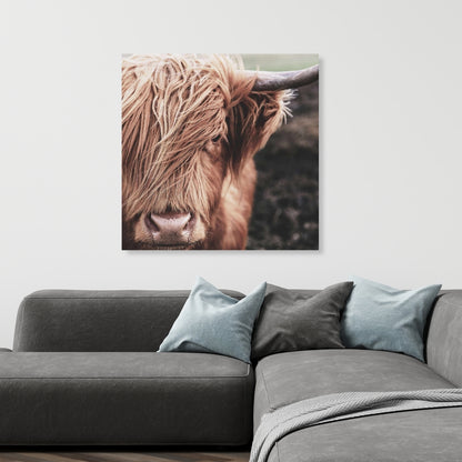 Toile désaturée représentant une vache des Highlands – Décoration d'animaux de ferme marron