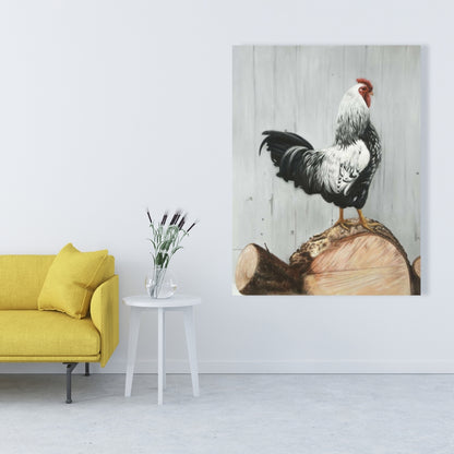 Toile Coq Wyandotte | Décoration d'intérieur avec animaux de la ferme