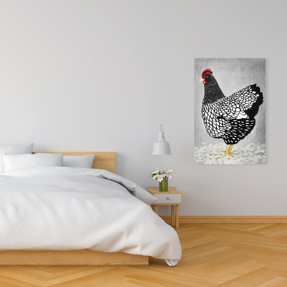 Black and White Wyandotte Hen Canvas - Home Decor Art