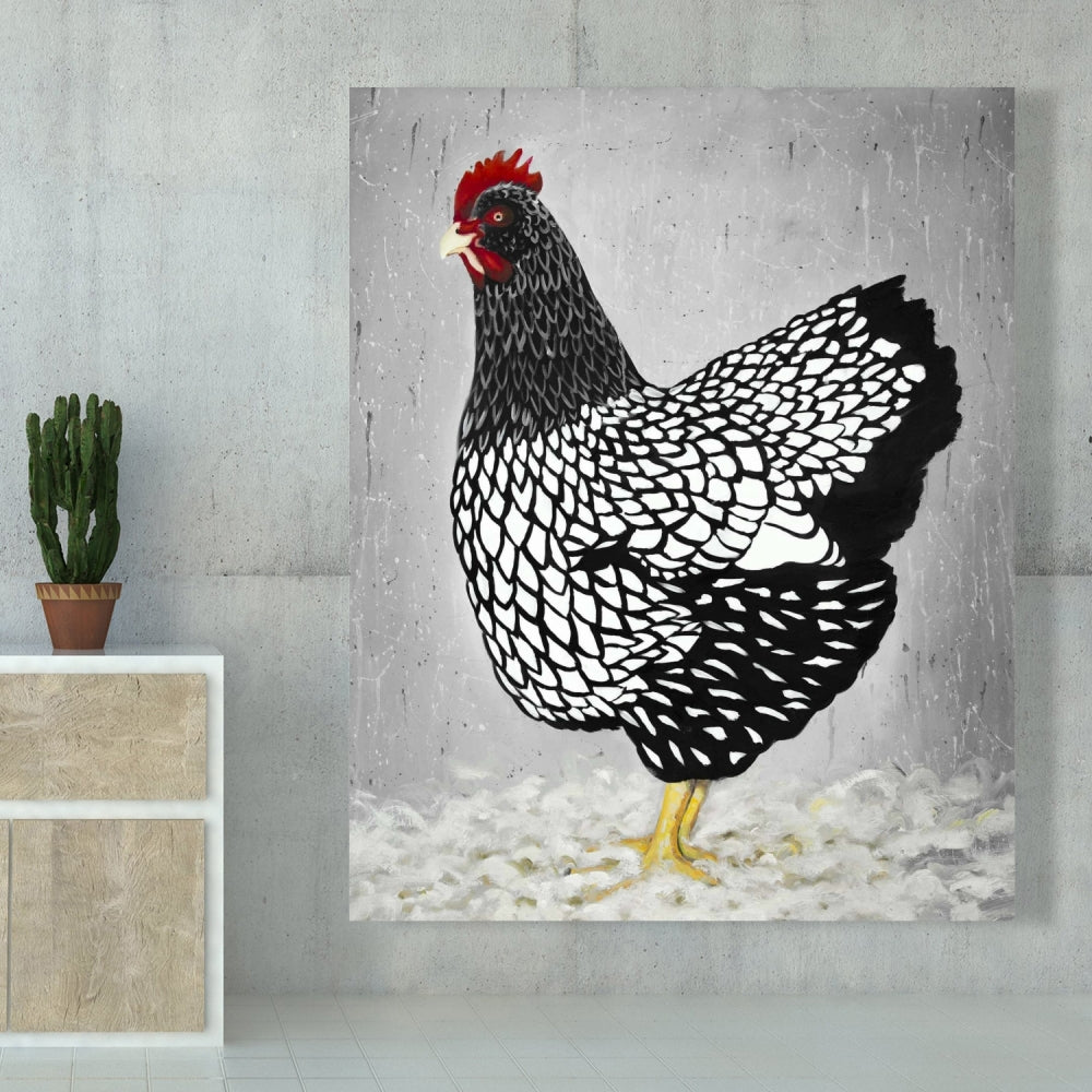 Black and White Wyandotte Hen Canvas - Home Decor Art