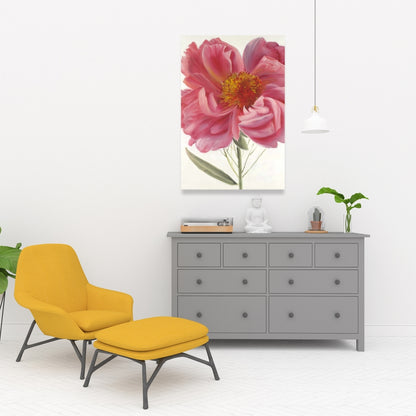 Pink Peony Flower Canvas | Botanical Home Decor Wall Art