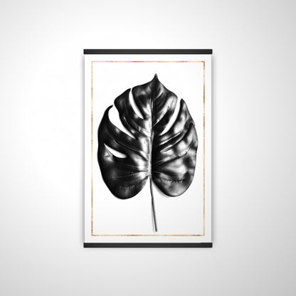 20"x30"