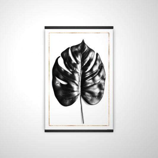 20"x30"