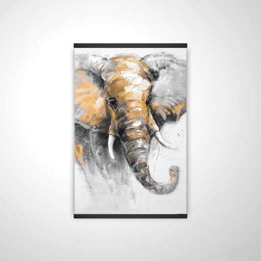 20"x30"