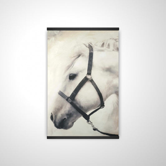 20"x30"