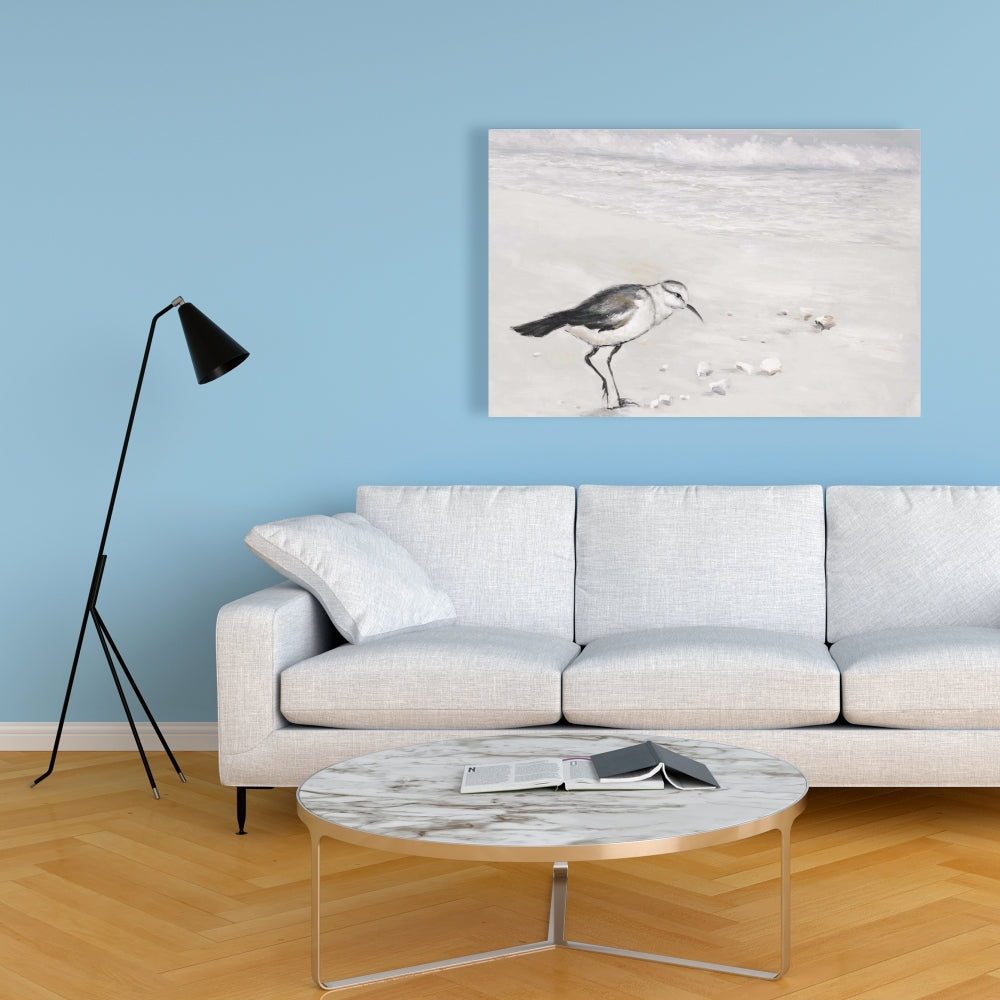 Semipalmated Sandpiper Canvas | Bird Marine Bathroom Decor