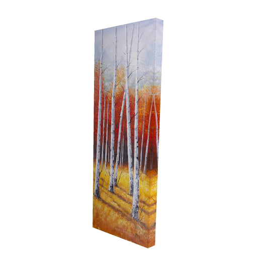 16"x48"