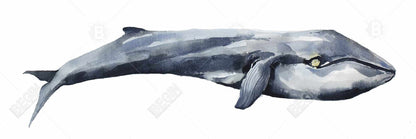 Watercolor Whale Canvas - Blue Bedroom Decor | Aquatic Art