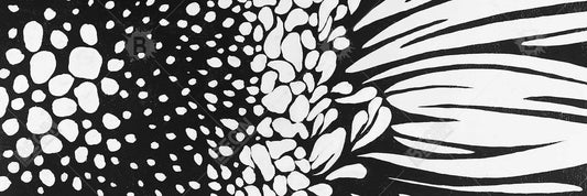 Gerbera Flower Botanical White Canvas | Home Decor Wall Art