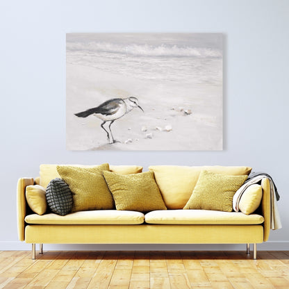 Semipalmated Sandpiper Canvas | Bird Marine Bathroom Decor