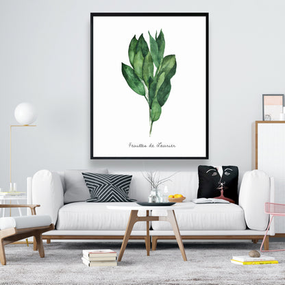 Toile encadrée « Feuilles de laurier » | Décoration de cuisine illustrative blanche