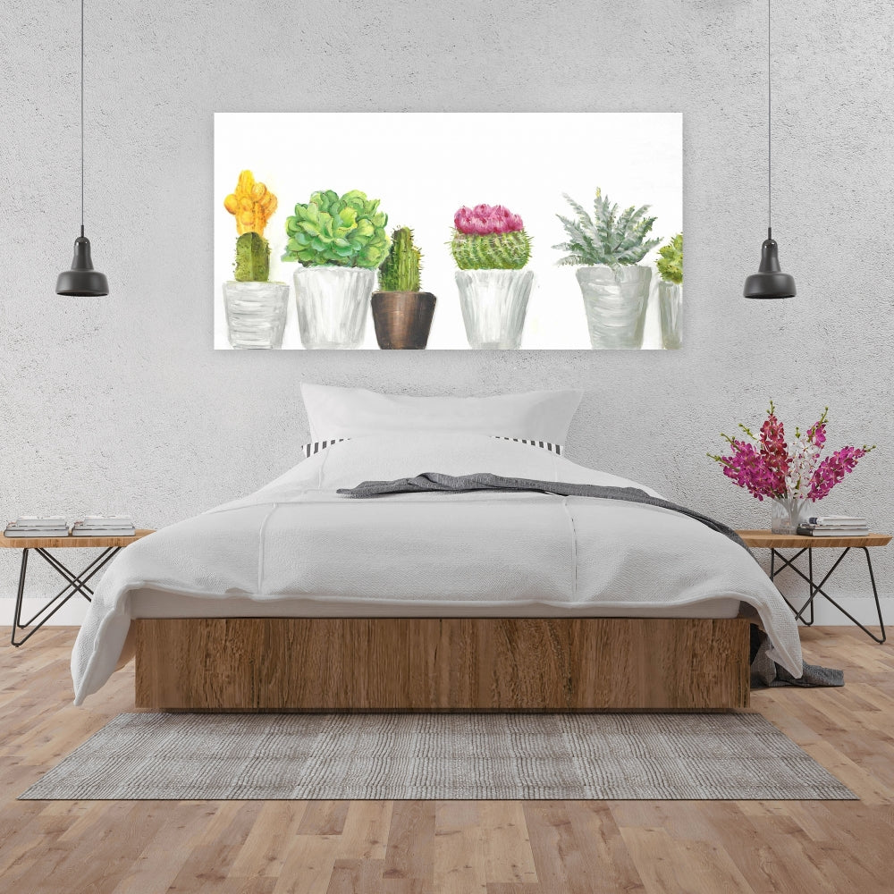 Mini cactus et plantes succulentes | Décoration botanique pour salle de bain