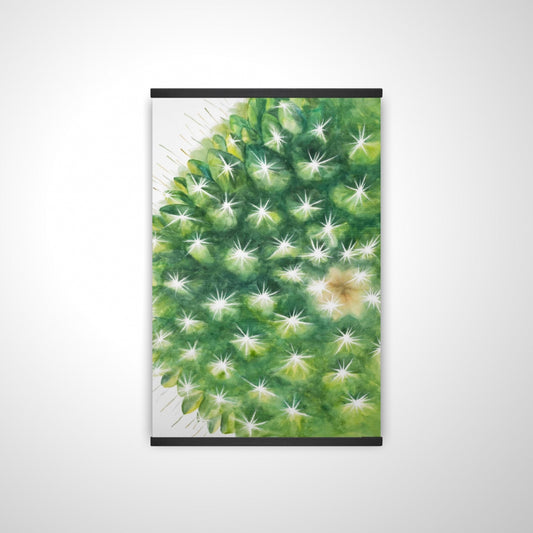 20"x30"