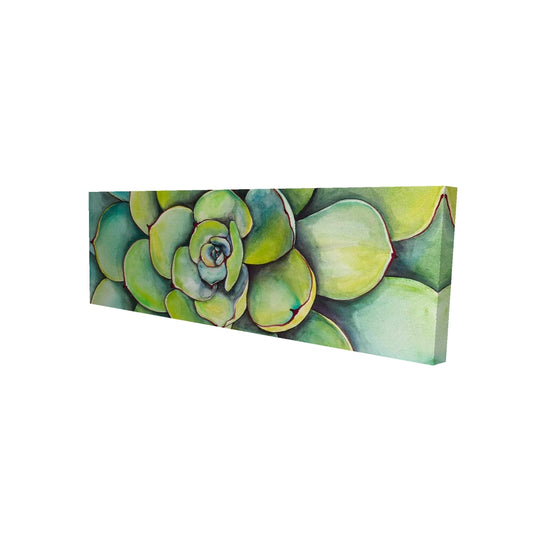 16"x48"
