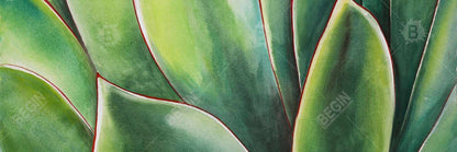 Plante d'agave aquarelle - Toile botanique exotique pour décoration de chambre