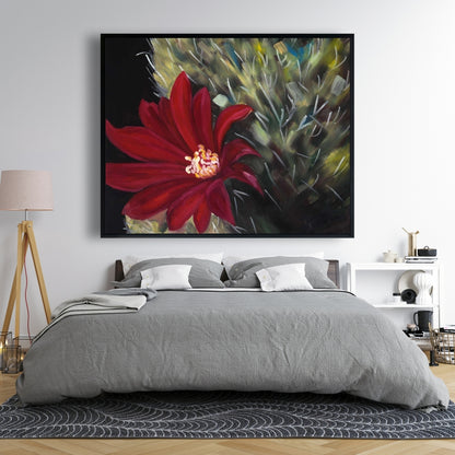 Fleur de cactus rouge Echinopsis | Toile décorative encadrée noire