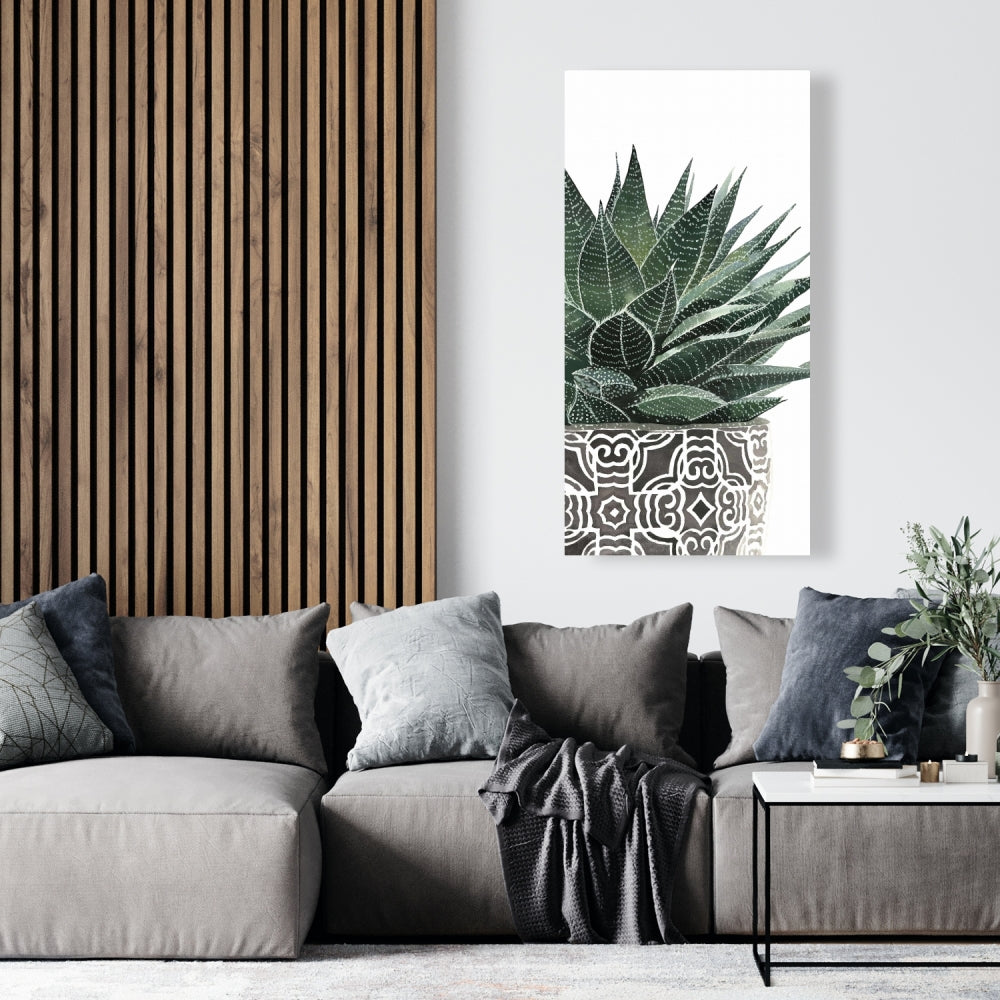 Zebra Plant Succulent Canvas - Botanical Bedroom Wall Art