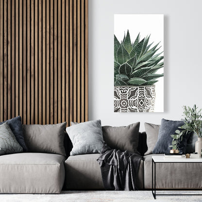 Zebra Plant Succulent Canvas - Botanical Bedroom Wall Art