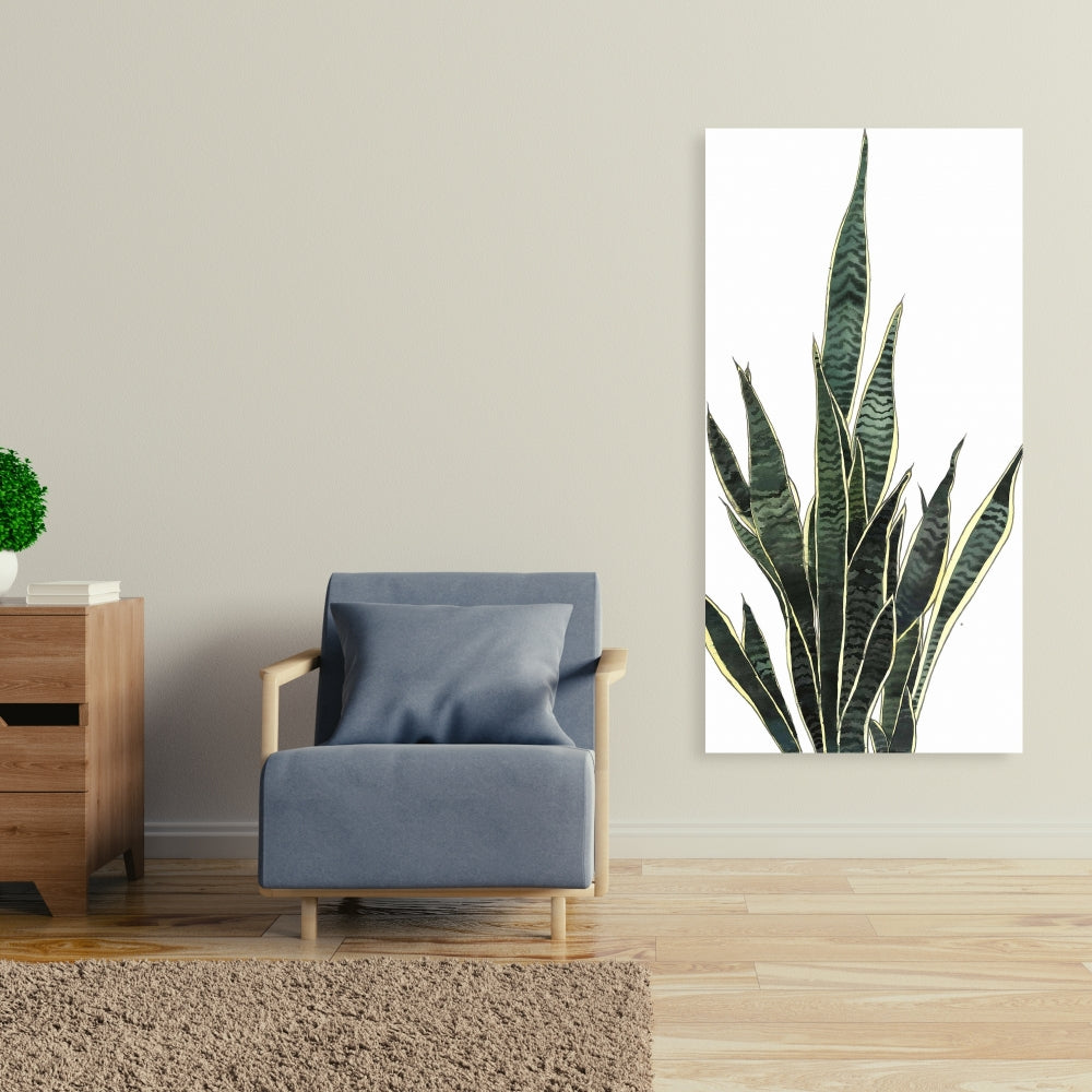 Exotic Snake Plant Canvas | Floral & Botanical Home Decor