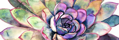 Toile multicolore à motif de plantes succulentes | Cadre botanique exotique violet