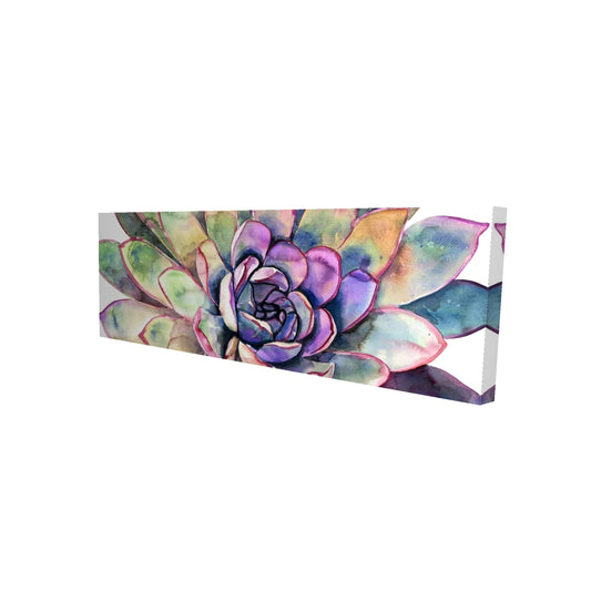 16"x48"