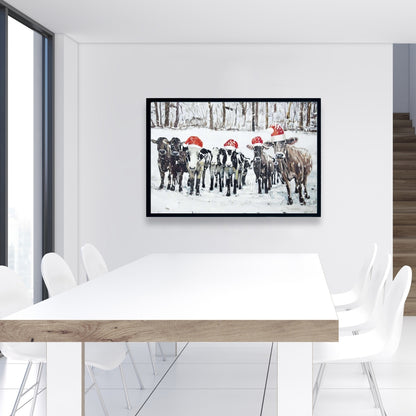Toile « Vaches curieuses de Noël » | Décoration murale rustique avec animaux de la ferme