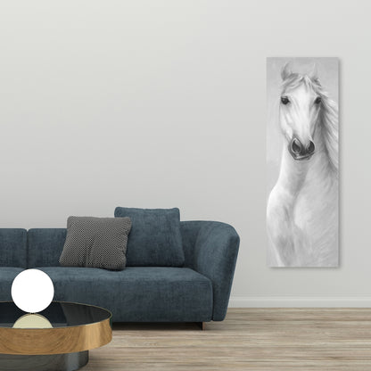 Gray Horse Canvas | Monochrome Bedroom Animal Wall Art
