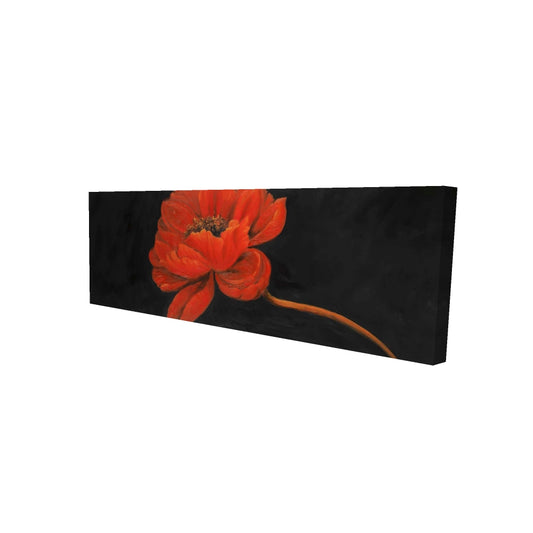 16"x48"