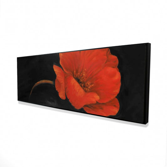 16"x48"