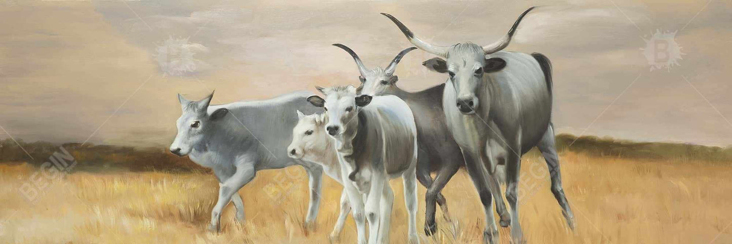 Toile encadrée « Élevage d'animaux de la ferme Nguni » | Décoration de chambre