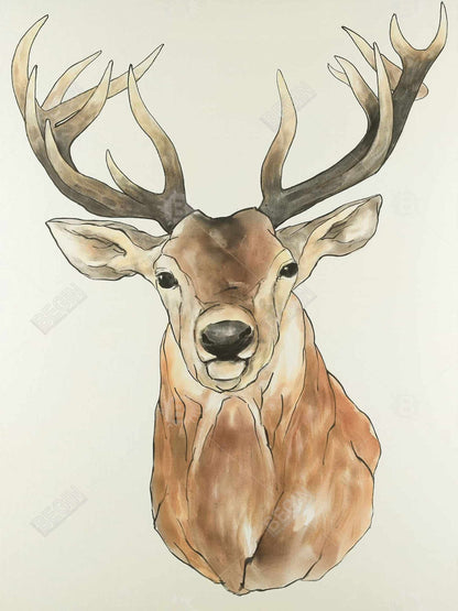 Toile encadrée de cerf brun | Portrait de cerf de face, décoration d'intérieur
