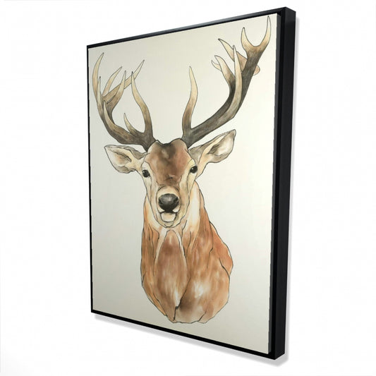 36"x48"