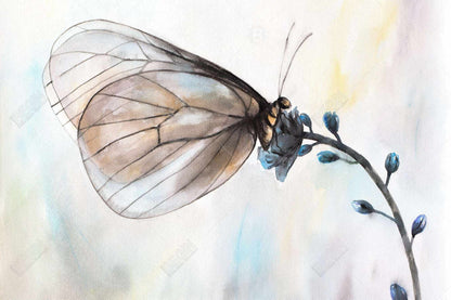 Romantic Blue Butterfly on Flowers Canvas | Home Decor Art