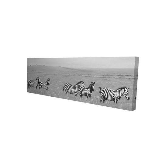 16"x48"