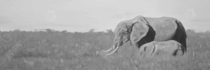 Éléphants dans la savane – Décoration sur toile encadrée représentant la faune africaine