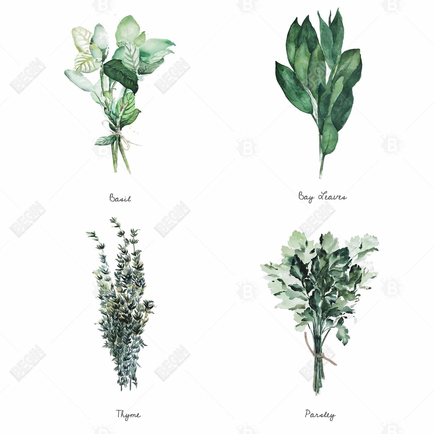 Toile de cuisine « Herbes fines florales et botaniques » | Décoration intérieure