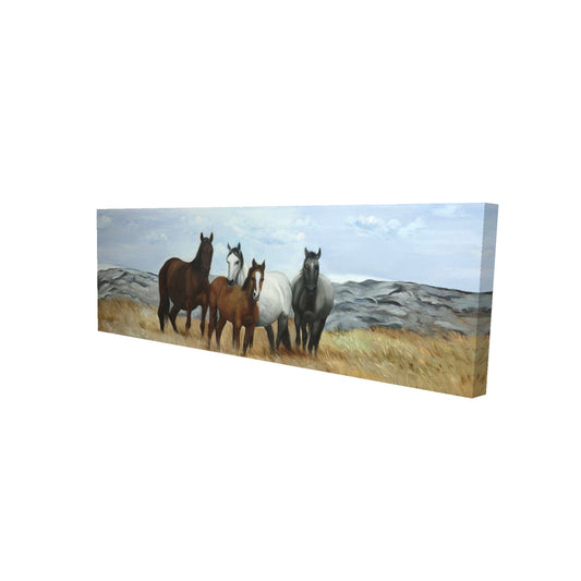 16"x48"