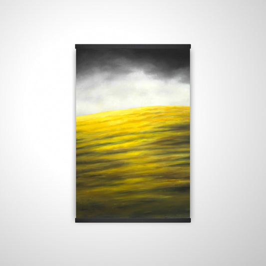 20"x30"
