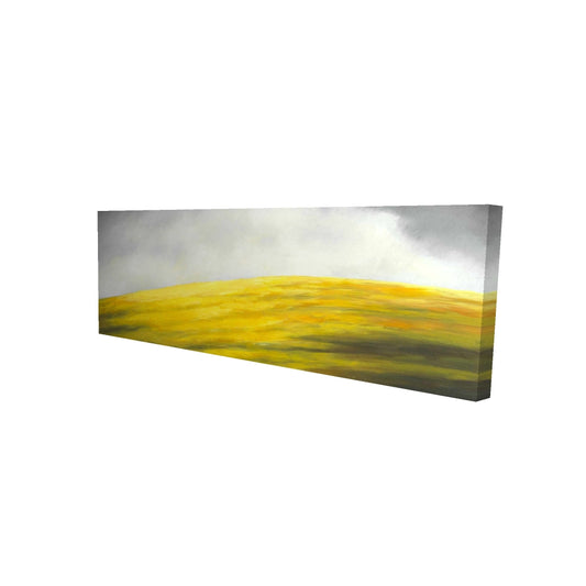 16"x48"