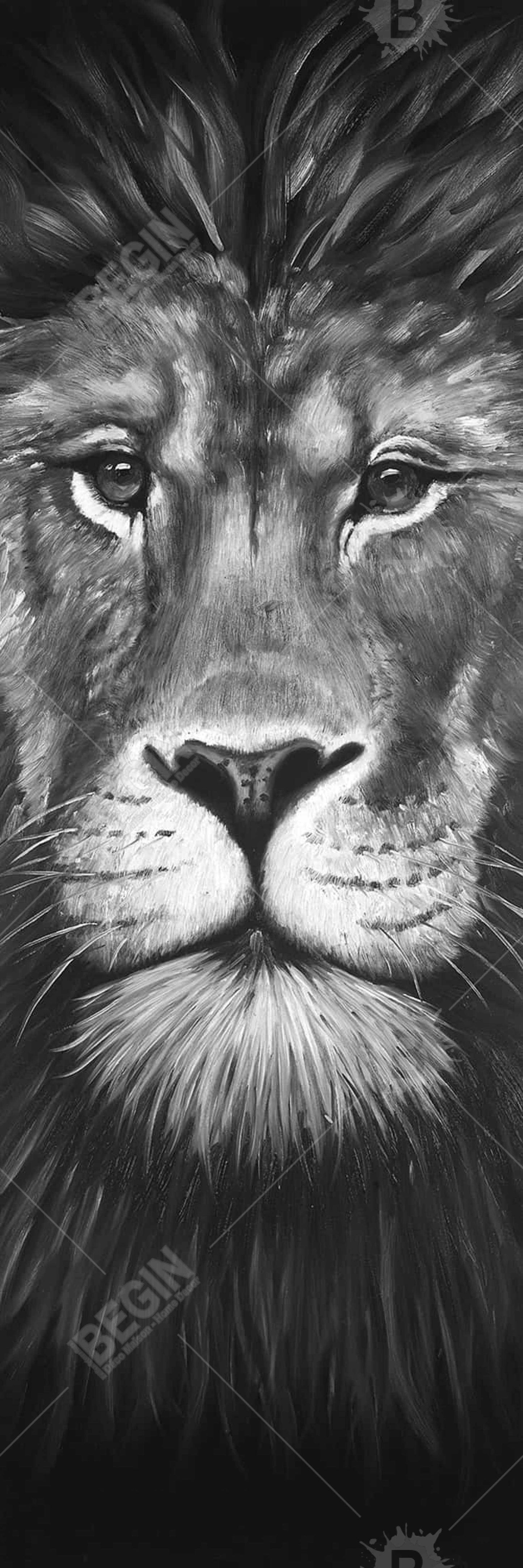 Lion Portrait - White African Framed Canvas | Home Decor Art